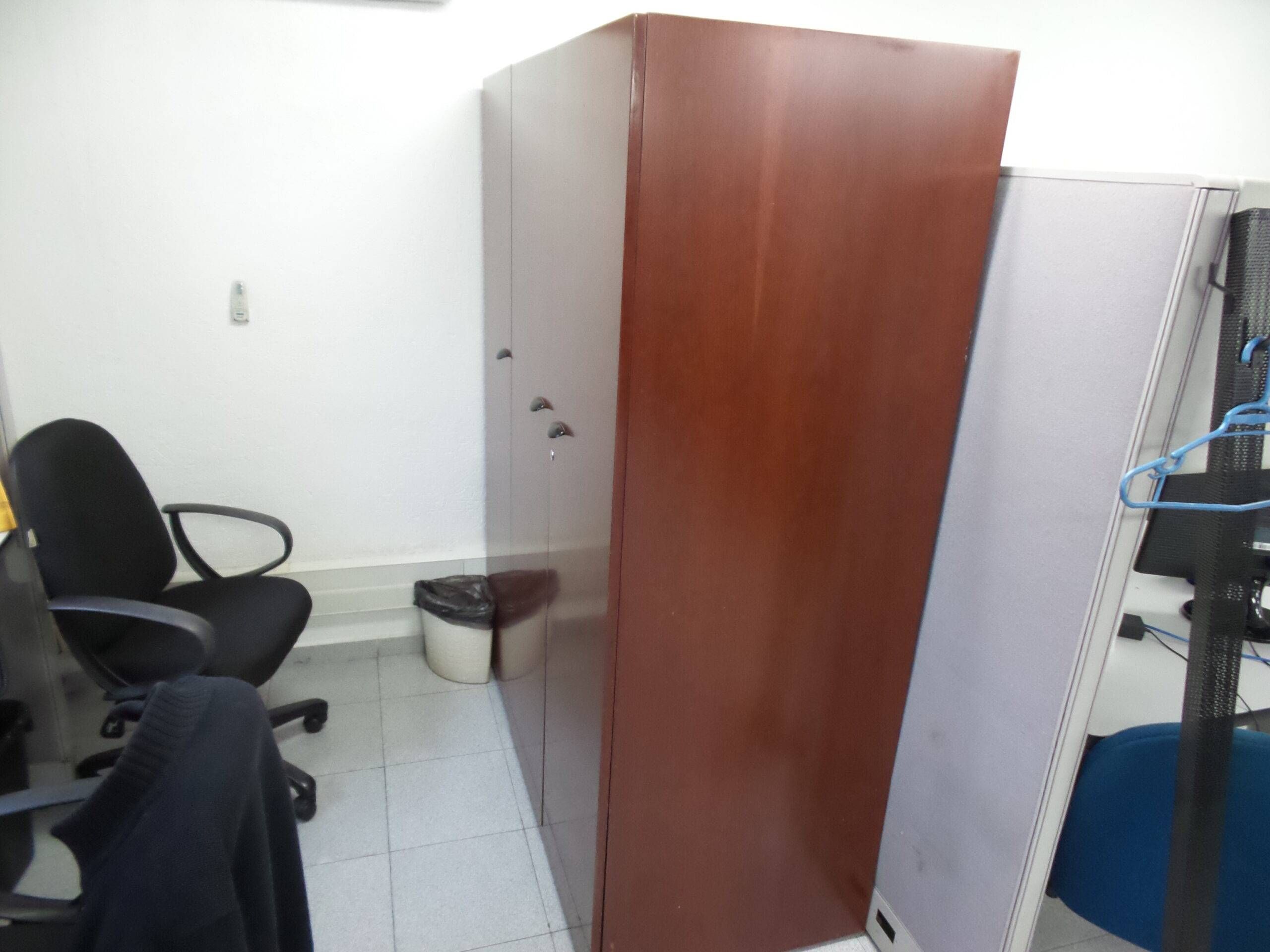 Lote 049 - Gabinete de madera ( de tres puertas conformado por dos piezas ) - Imagen 2