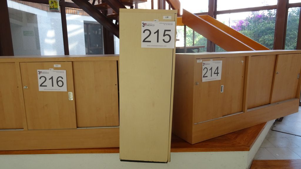 Lote 215 - Gabinete alto con 2 puertas y chapa - Imagen 3
