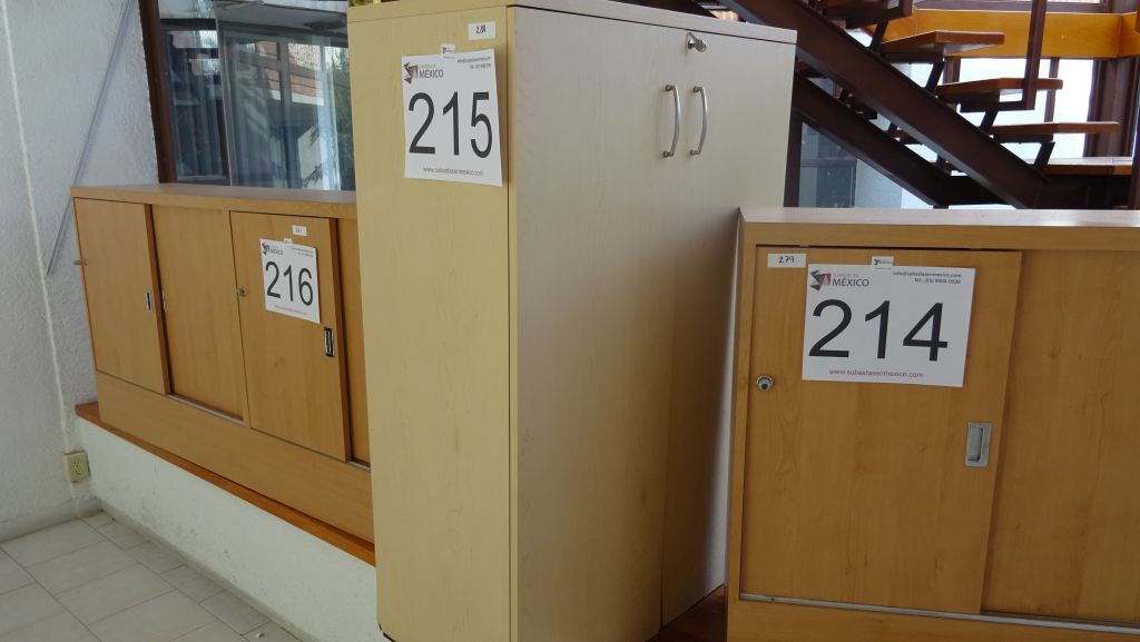 Lote 215 - Gabinete alto con 2 puertas y chapa