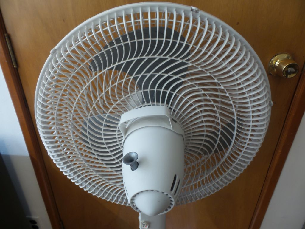 Lote 061 - 2 Ventiladores de pie color blanco marca T-fal, 3 velocidades (copia) - Imagen 8