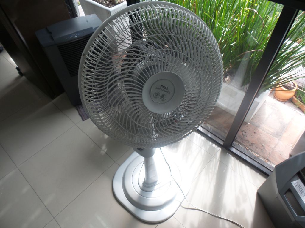 Lote 061 - 2 Ventiladores de pie color blanco marca T-fal, 3 velocidades (copia) - Imagen 9