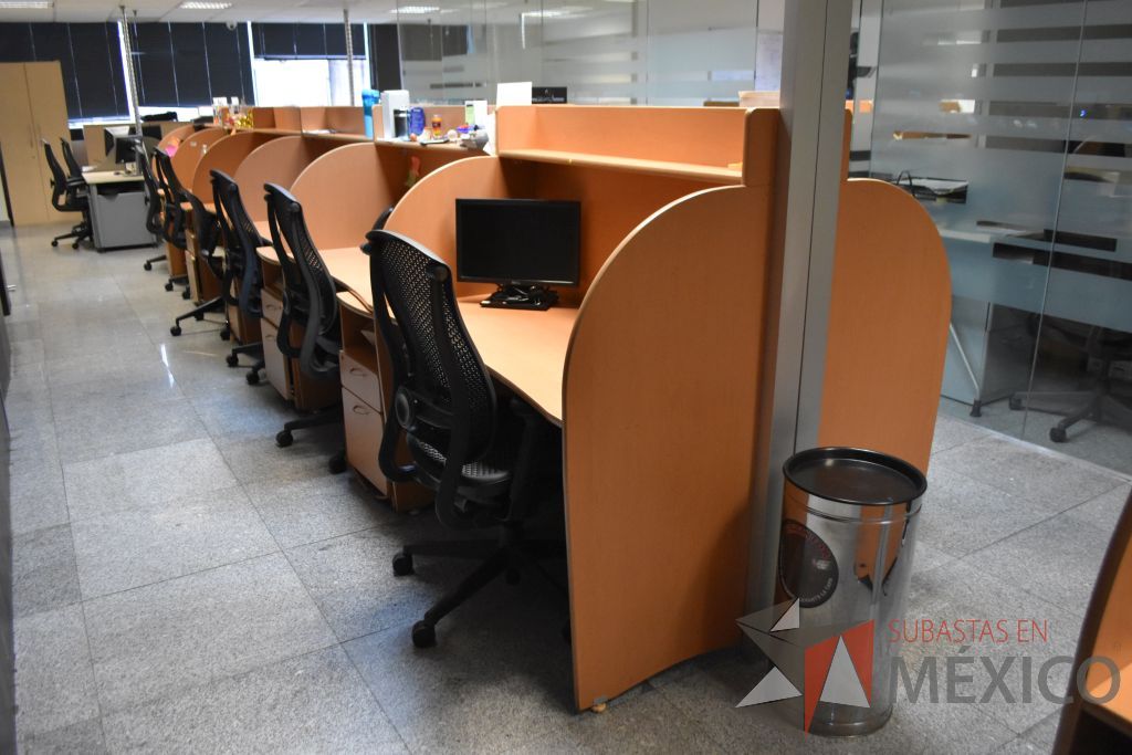 Lote 047 - Estación de trabajo para 12 personas tipo call center con 10 archiveros de 2 cajones y 12 repisas. - Imagen 4