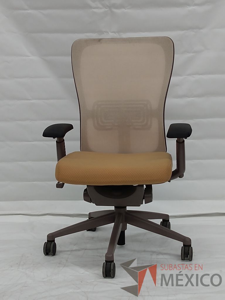 Lote 019 - 4 Sillas ZODY AMA