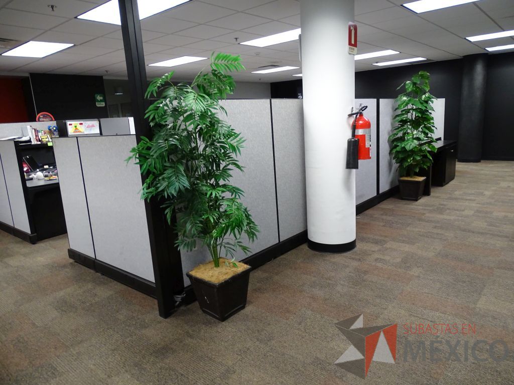 Lote 005 - Estación de trabajo para 4 personas de mampara alta - Imagen 5