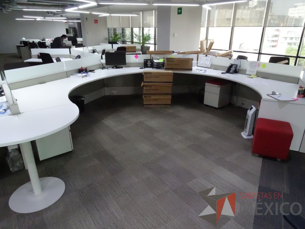 Lote 004 - Estación de trabajo para 17 personas de mampara baja seminueva, Marca: Haworth - Imagen 11