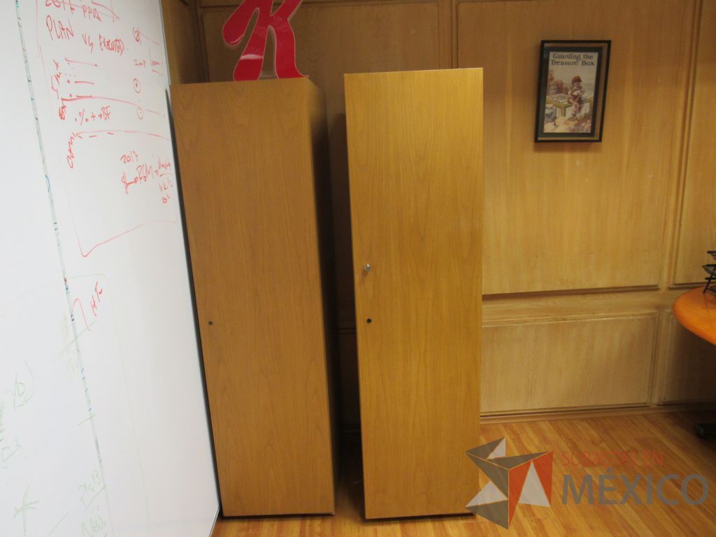Lote 036 - 2 Gabinetes altos con 1 puerta
