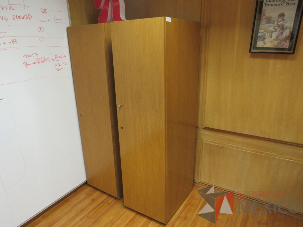 Lote 036 - 2 Gabinetes altos con 1 puerta - Imagen 5