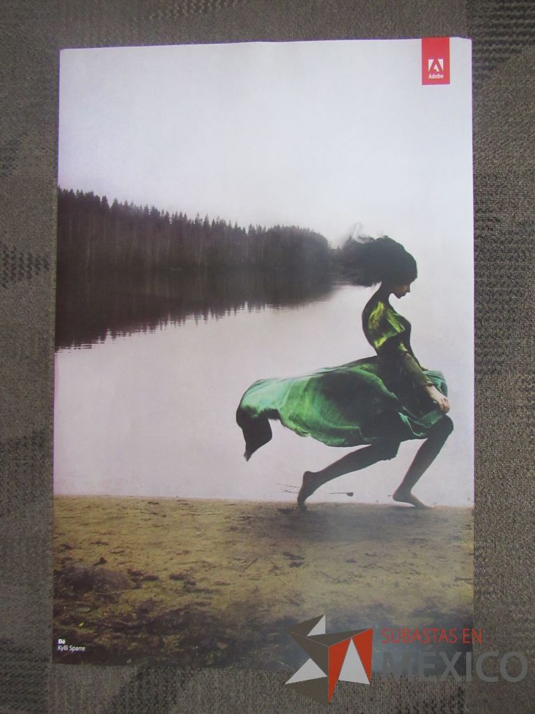 Lote 076 - 11 Posters - Imagen 32