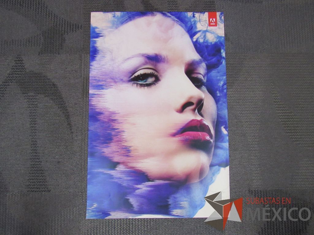 Lote 076 - 11 Posters - Imagen 35