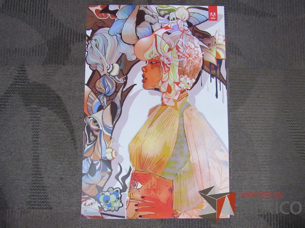 Lote 076 - 11 Posters - Imagen 41