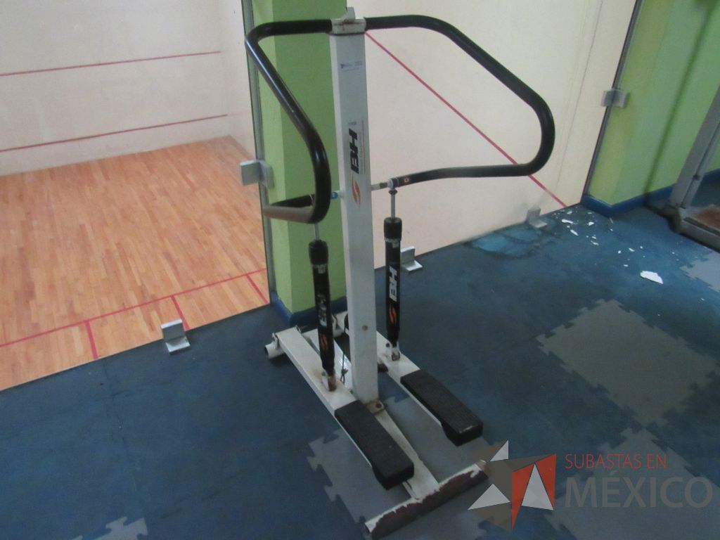 Lote 365 - Escaladora metálica
