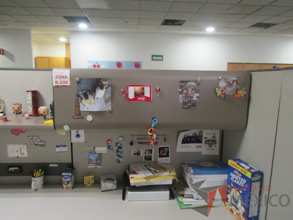 Lote 003 - Estación de trabajo para 8 personas con mampara alta con 8 gavetas - Imagen 18