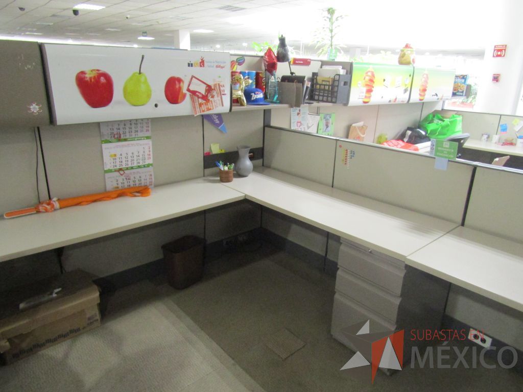 Lote 009 - Estación de trabajo para 8 personas con mampara alta con 8 gavetas - Imagen 15