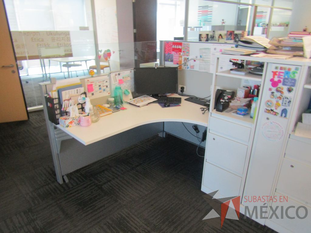 Lote 069 - Estación de trabajo para 10 personas de mampara baja con 10 gabinetes altos metálicos color blanco - Imagen 12