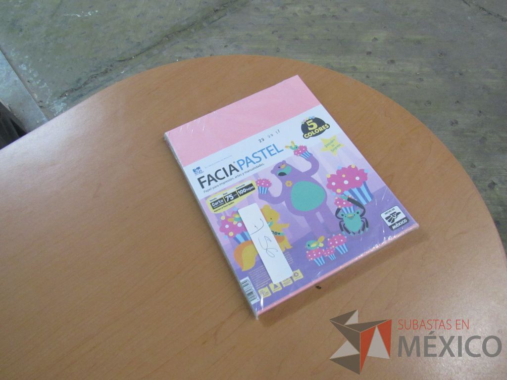 Lote 184 - Carpetas, Paquetes de hojas, Sobre bolsas, Engrapadoras y más - Imagen 145