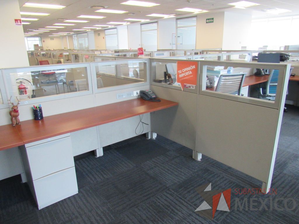 Lote 056 - Estación de trabajo para 8 personas de mampara baja con 8 archiveros de pedestal de 2 cajones. - Imagen 15