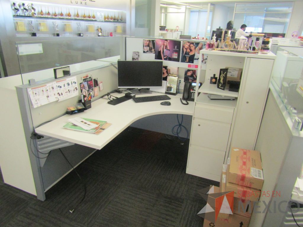Lote 007 - Estación de trabajo para 9 personas de mampara baja con 9 gabinetes altos de 3 cajones, 1 puerta y 1 entrepaño color blanco. - Imagen 8