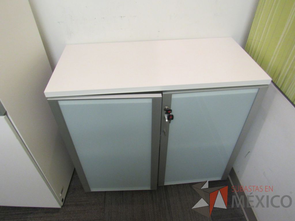 Lote 001 - Gabinete con 2 puertas, 1 entrepaño y cubierta color blanco - Imagen 9
