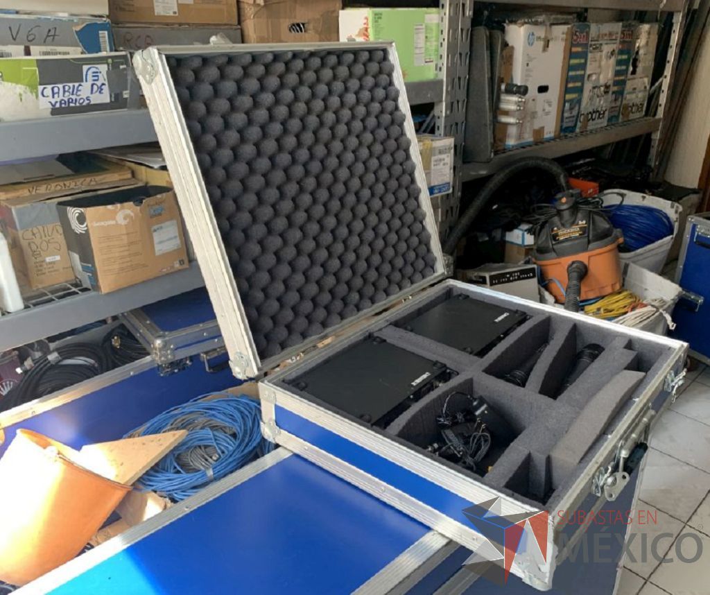 Lote 030 - 2 Micrófonos marca PROFESIONALS, inalámbricos, 2 receptores para micrófono y Case para 2 micrófonos, con cable Cánon genérico