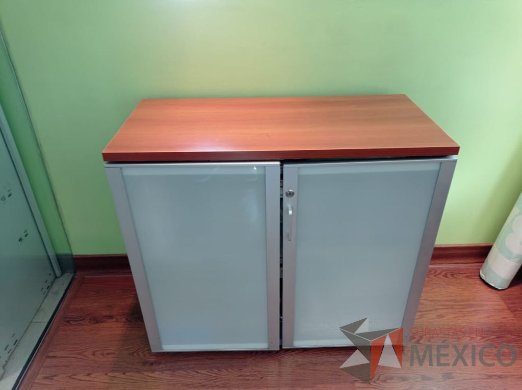 Lote 008 - Gabinete metálico con 2 puertas de vidrio y cubierta color café - Imagen 5