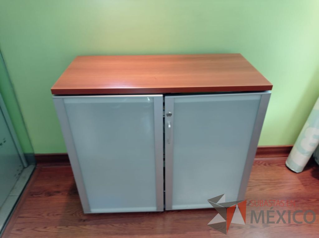 Lote 008 - Gabinete metálico con 2 puertas de vidrio y cubierta color café - Imagen 6