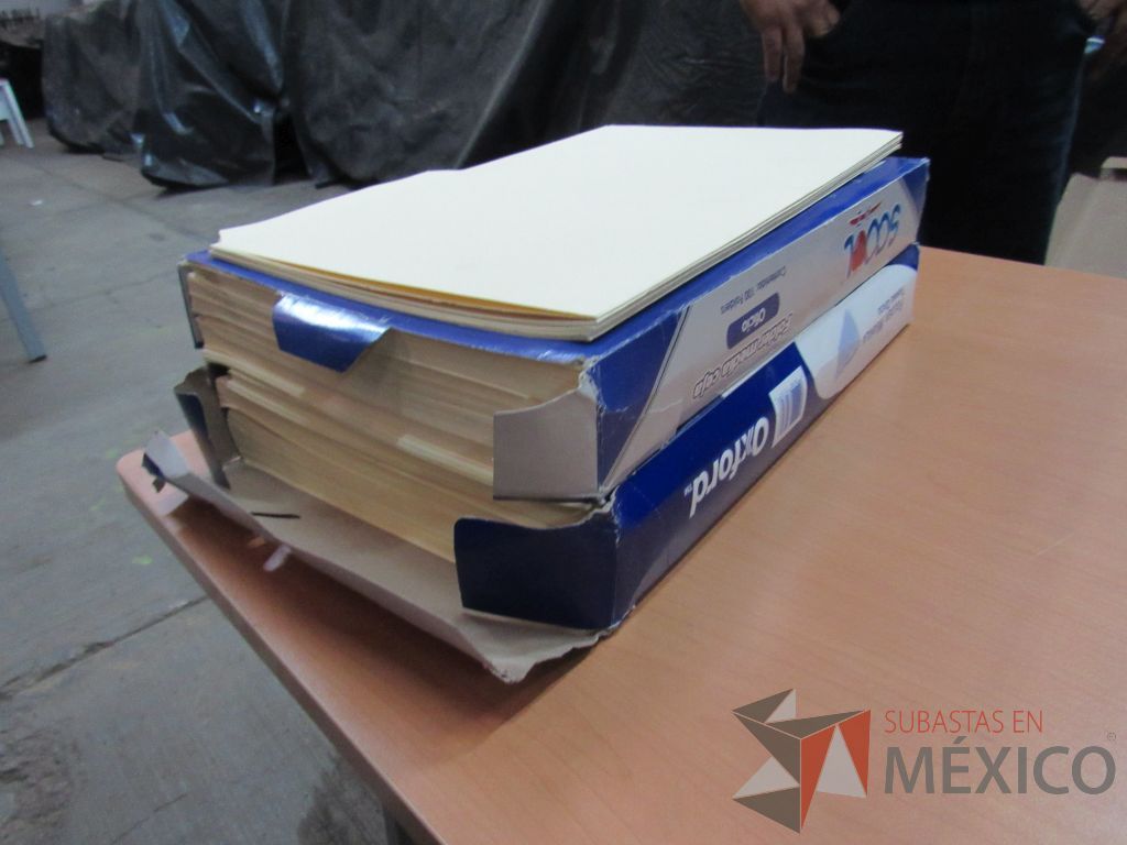 Lote 098 - Sujetadores, protectores y paquetes de sujeta documentos