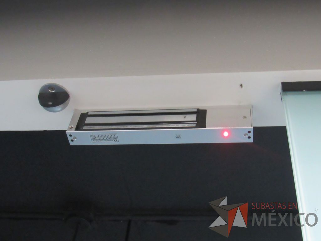 Lote 430 - 2 Canceles (hojas de vidrio y puertas de madera) - Imagen 11