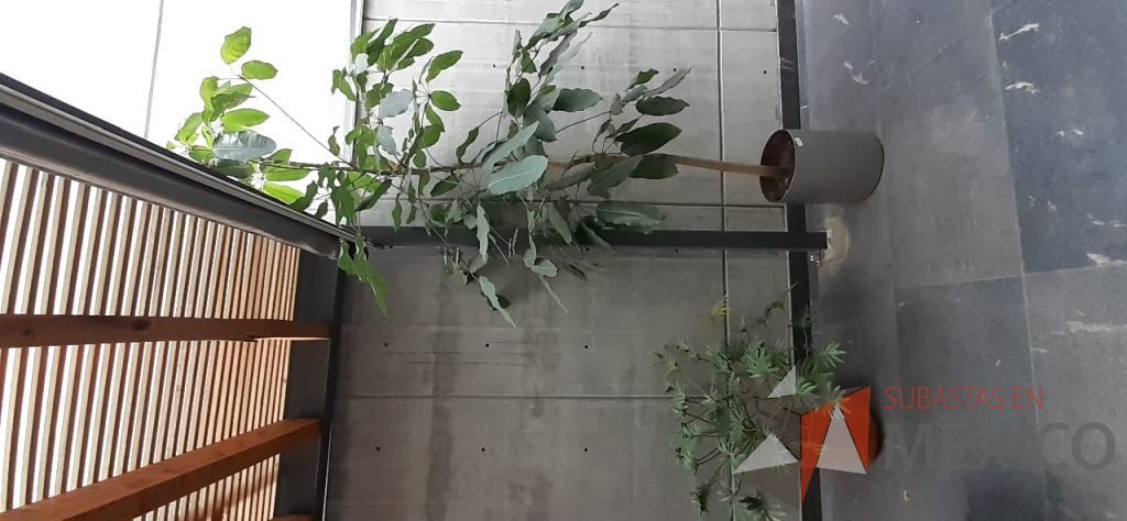 Lote 120 - Maceta de fibra de vidrio color café con planta y 7 Macetas de diferentes tamaños con planta, 3 macetas contienen plastas grandes - Imagen 2