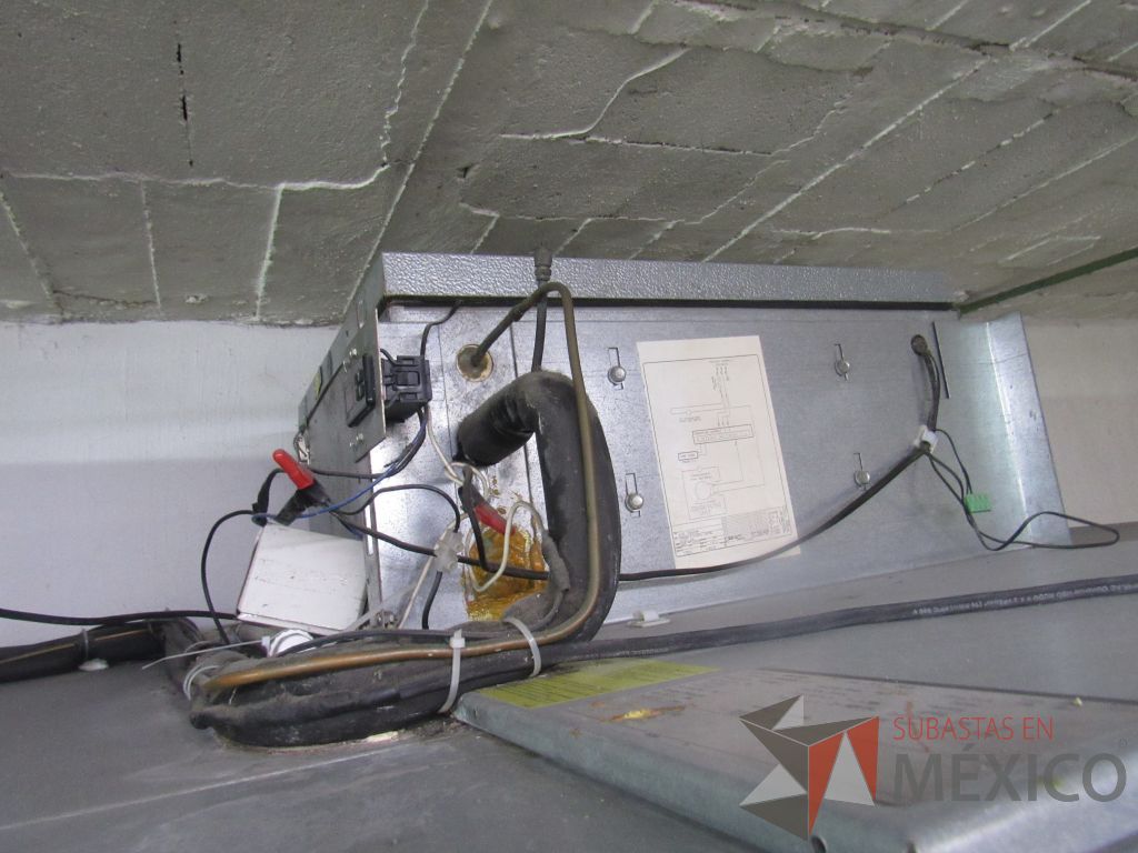 Lote 027 - Camara de congelación Frezer 220 VOLTS, Norlake, Modelo: KLF66CL - Imagen 17