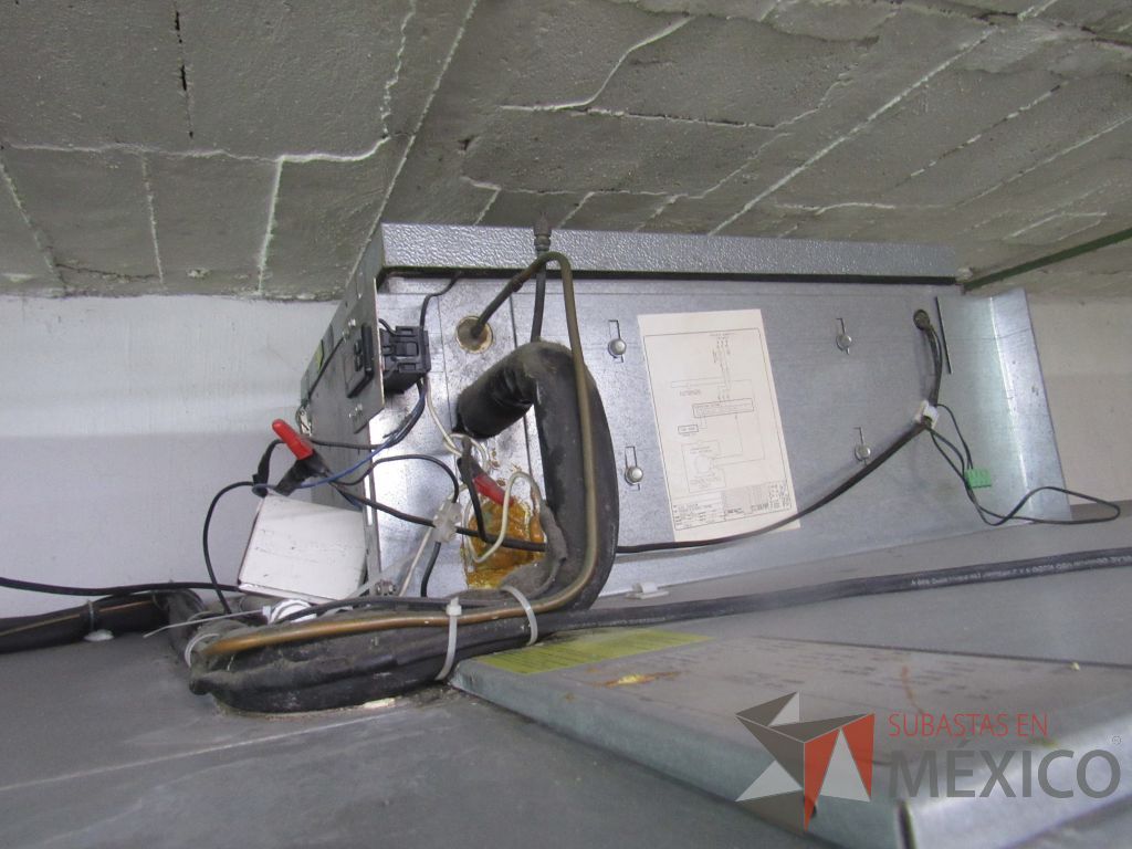 Lote 027 - Camara de congelación Frezer 220 VOLTS, Norlake, Modelo: KLF66CL - Imagen 18