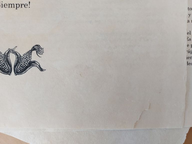 Lote 001 - Cuento de Bernardo Domínguez en una Caja de madera con 21 dibujos realizador por EKO - "María ríe por Dentro" - Dibujo/tinta - Imagen 5