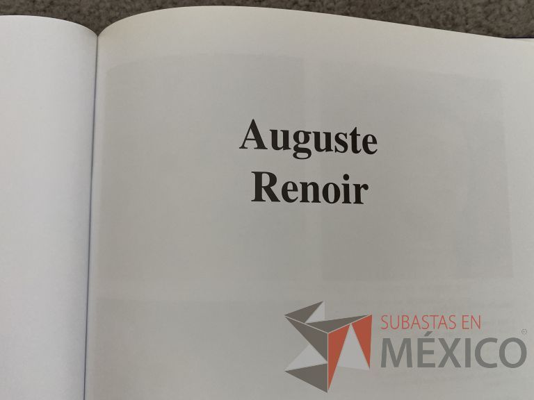 Lote 048 - 4 Libros de Arte en fotografía - Imagen 10