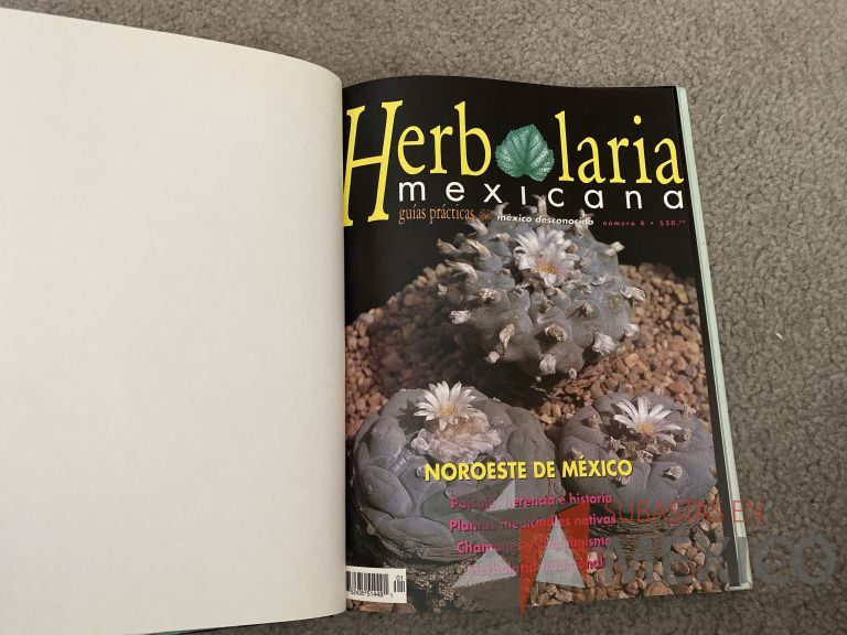 Lote 050 - 6 Revistas de la cultura, naturaleza y tradición mexicana - Imagen 10