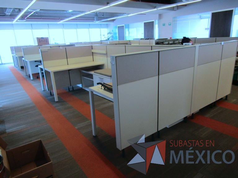 Lote 003 - Estación de trabajo para 14 personas con mampara baja - Imagen 9