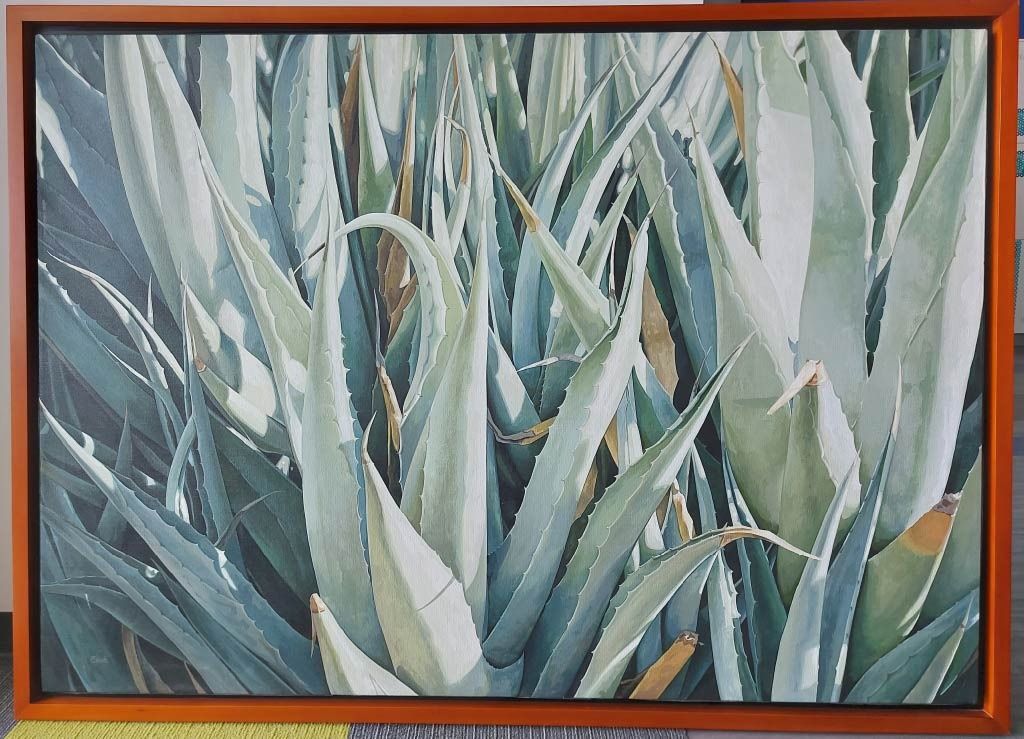 Lote 004 - Armando Zesatti - Magueyes
