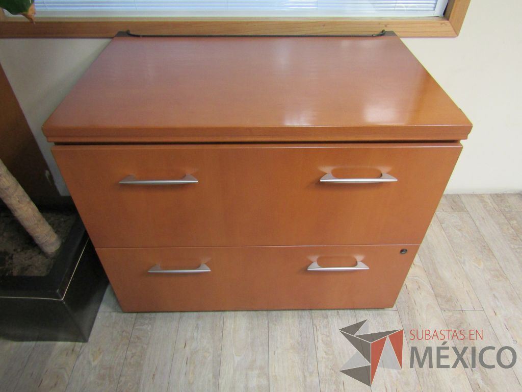 Lote 101 - Archivero horizontal de 2 cajones - Imagen 4
