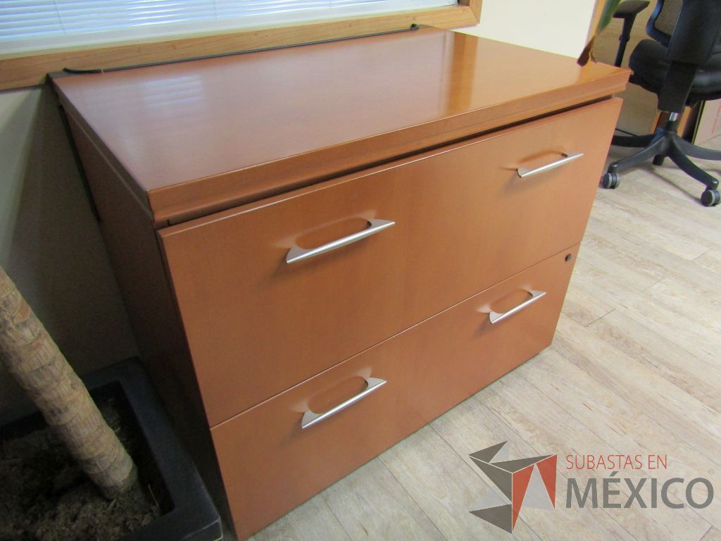 Lote 101 - Archivero horizontal de 2 cajones - Imagen 5