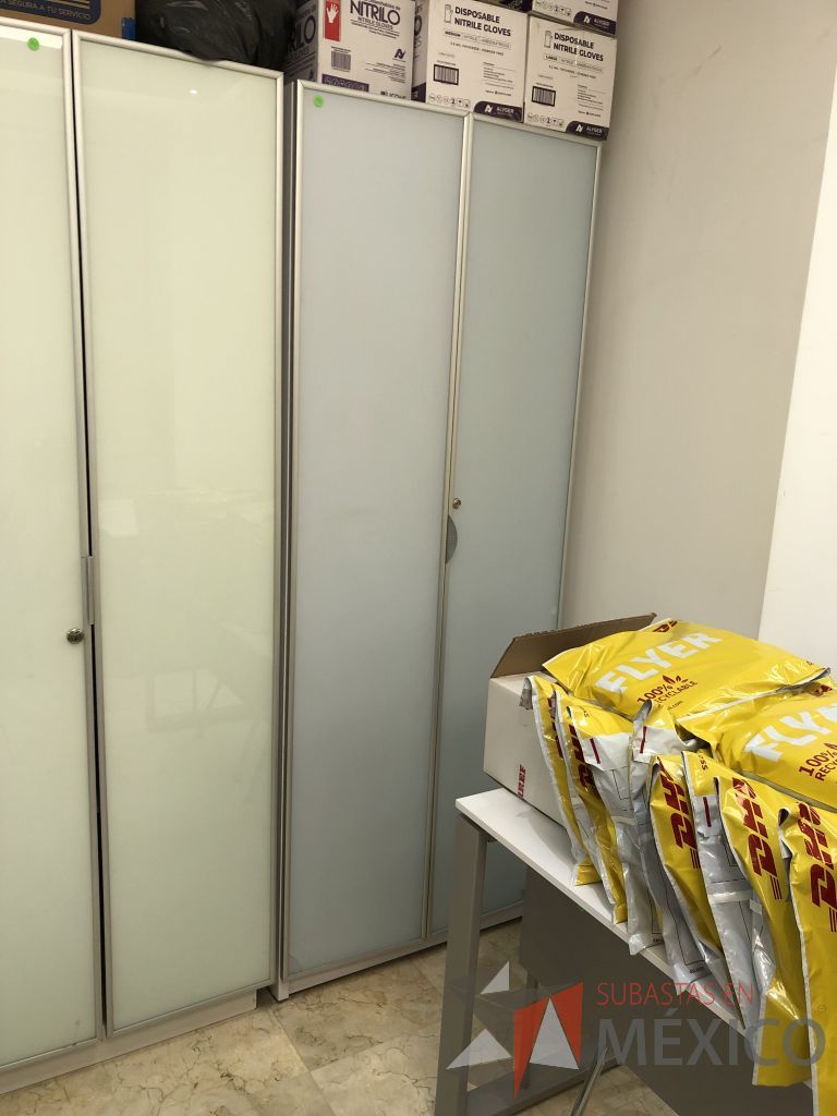 Lote 587 - Gabinete de 2 puertas y 4 entrepaños - Imagen 2