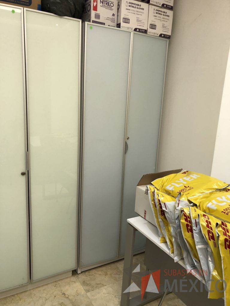 Lote 587 - Gabinete de 2 puertas y 4 entrepaños - Imagen 3