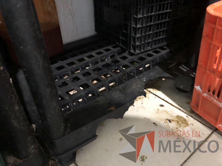 Lote 075 - 5 Contenedores de plástico - Imagen 10