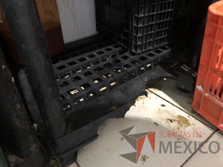 Lote 075 - 5 Contenedores de plástico