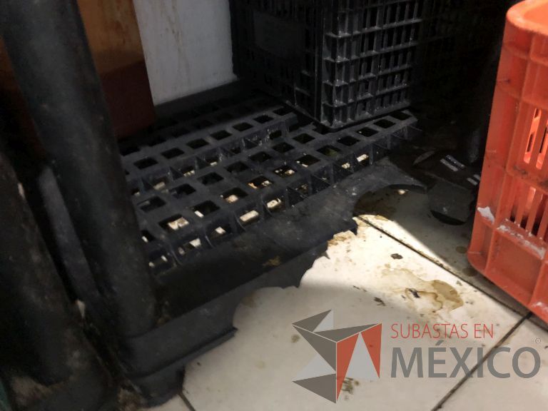 Lote 075 - 5 Contenedores de plástico - Imagen 11