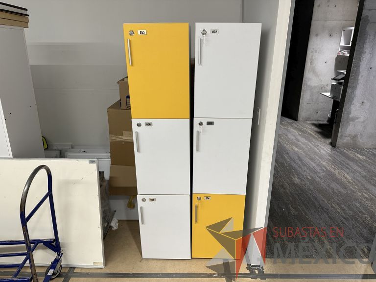 Lote 038 - Locker con 3 puertas